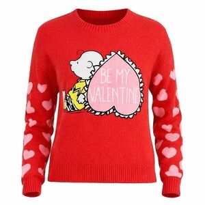 NWT Peanuts Charlie Brown Valentine’s Sweater L Red Pink Hearts Embroidered